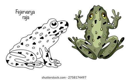 Hand-drawn illustrations of two amphibians with a greyish-olive coloration and dark spots to help camouflage them in the wild. Fejervarya raja. Vector illustration.
