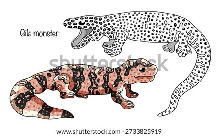 Hand-drawn illustrations of two Gila monsters. These large, venomous lizards have a massive body, short legs, and a thick tail where they store fat. Color and black-and-white vector.
