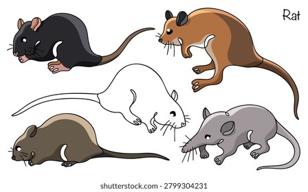 Hand-drawn illustrations of a variety of rats. These small rodents have an elongated body, pointed snout, round ears, and a long tail. Isolated vector illustrations of five different rats.