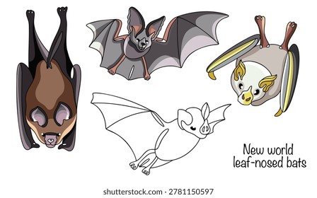 Hand-drawn illustrations of various leaf-nosed bats. These small bats have a leathery growth on their noses that resembles a leaf or spear. Isolated vector for various uses. New world leaf-nosed bats.