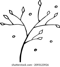 
hand-drawn image of a branch of light