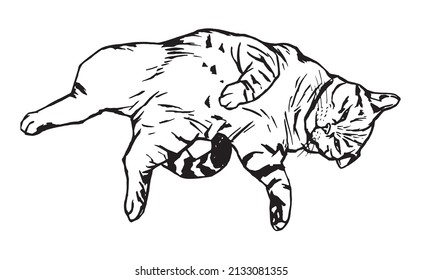 A hand-drawn image of a playful striped cat lying down. Black and white traced graphic drawing for stickers, illustrations, etc.