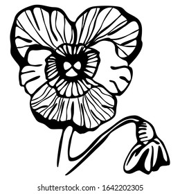 hand-drawn image of 
violet. Ink style 
violet blossom. Vector element for wedding invitations, openings, posters.