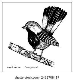 Hand-drawn ink bird. Vector illustration of a bird on a tree branch. Black monochrome bird.