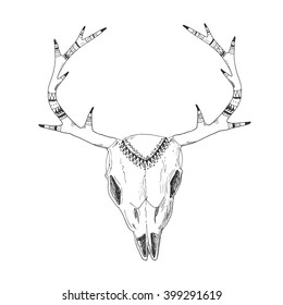 Hand-drawn with ink deer skull with native ornament on antlers. Tribal American Indian vector illustration isolated on white. Ethnic design, aztec decor, tribal style
