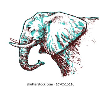 Hand-drawn ink portrait of an elephant in profile