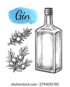 Hand-drawn ink sketch of gin bottle and juniper sprig with berries. Engraving style shows detailed glass and branches. Perfect for cocktail, bar, or beverage design projects