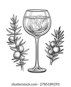 Hand-drawn ink sketch of glass with gin and tonic. Juniper branches with berries. Isolated vintage engraving illustration. Ideal for cocktail menus or botanical design projects