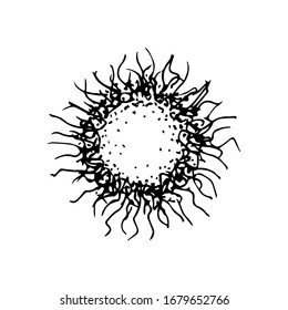 Hand-drawn ink vector drawing. Virus molecule, bacteria under the microscope, infectious disease. Medicine, virology, vaccine, laboratory.