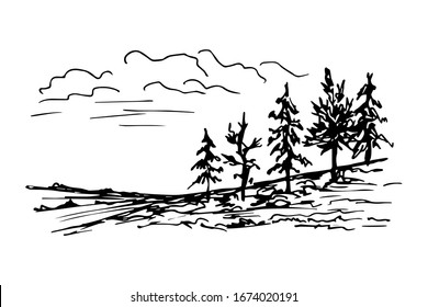 Ilustración vectorial manuscrita en el estilo de grabado. Un paisaje simple de árboles de coníferas en una colina, hierba, cielo con nubes. Naturaleza, bosque, viajes, turismo. Para tarjetas, pegatinas, impresiones.