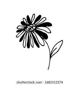 Dibujo simple vector de tinta dibujado a mano. Pétalos blancos y negros de flores de margarita, tallo. Naturaleza, plantas, jardín, temporada primavera-verano, elemento de diseño