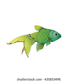 Hand-drawn ink-stylized colorful little aquarium fish isolated on white