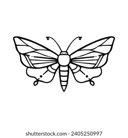 Hand-Drawn Insect Doodle Illustration. Insect or Bug Cartoon In Line Style Isolated In White Background. Insect Cartoon for Coloring Book