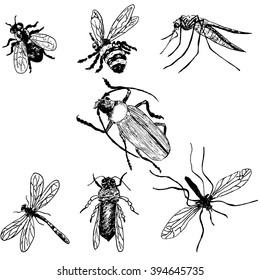 Hand-drawn insects. Bee, fly, mosquito, hook, dragonfly, wasp