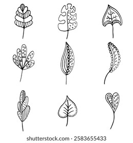 Hand-Drawn Intricate Leaf Designs Set on White Background - Artistic Collection of Botanical Patterns for Prints and Creativity