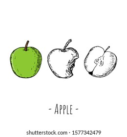 Hand-drawn isolated apples. Vector cartoon illustrations.
