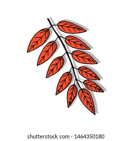 Hand-drawn isolated autumn leaf. Fall conception.