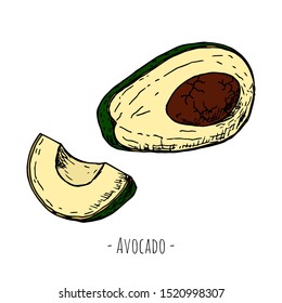Hand-drawn isolated avocado. Vector cartoon illustration. Isolated object on a white background. 
