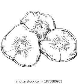 Hand-drawn isolated banana. Vector illustration exotic fruit. 