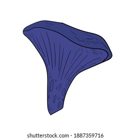 champiñones azules aislados a mano. Ilustración de dibujos animados.