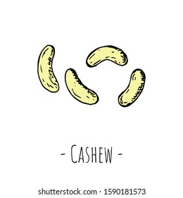 Hand-drawn isolated cashew. Vector cartoon illustration.