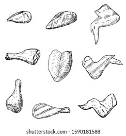 Hand-drawn isolated chicken meat.  Vector cartoon illustrations. 