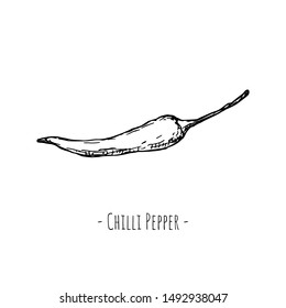 Hand-drawn isolated chilli pepper. Vector cartoon illustration.