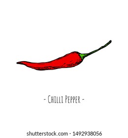 Hand-drawn isolated chilli pepper. Vector cartoon illustration.