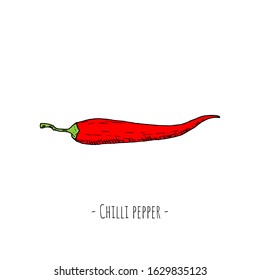 Hand-drawn isolated chilli pepper. Vector cartoon illustration.