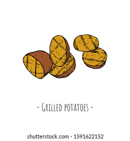 Hand-drawn isolated grilled potatoes. Vector cartoon illustrations.