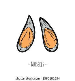 Hand-drawn isolated mussels. Vector cartoon illustrations. 