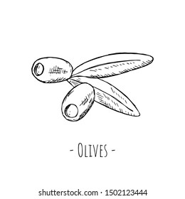 Hand-drawn isolated olives. Vector cartoon illustration. 