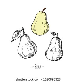 Hand-drawn isolated pear. Vector cartoon illustration. Isolated object on a white background.