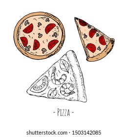 Hand-drawn isolated pizza. Vector cartoon illustration. 