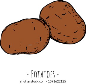 Hand-drawn isolated potatoes. Vector cartoon illustrations. 