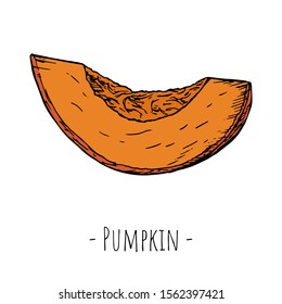 Hand-drawn isolated pumpkin slice. Vector cartoon illustration. 