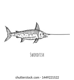 Hand-drawn isolated swordfish. Vector cartoon illustration.