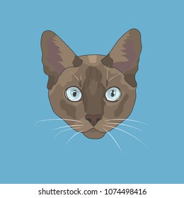 Hand-drawn jcat face