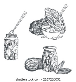 Hand-drawn kimchi (kimchee) fermented chinese cabbage. Korean cuisine. Vector sketch illustration.
