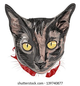 hand-drawn kitty face portrait illustration