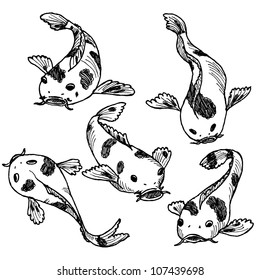 Hand-drawn koi set in vector