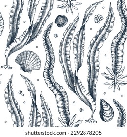 Hand-drawn Kombu background. Laminaria botanical illustration in sketch style. Edible seaweed seamless pattern. Sea life drawings. For menu design, textile, wrapping paper, print