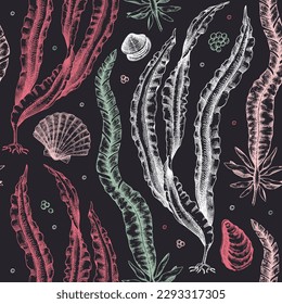 Hand-drawn Kombu background. Laminaria botanical illustration in sketch style. Sea life seamless pattern. Edible seaweed drawings. For menu design, textile, wrapping paper, print
