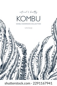 Hand-drawn Kombu card design. Laminaria botanical illustration. Edible seaweed drawing isolated on white background. Healthy food ingredients drawing. Asian cuisines menu template