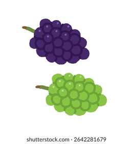 Hand-Drawn Kyoho and Muscat Grapes – Simple Illustration