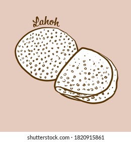 Hand-drawn Lahoh bread illustration. Leavened, usually known in Djibouti, Somalia, Yemen. Vector drawing series.