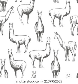 Hand-drawn lamas. Vector  seamless pattern