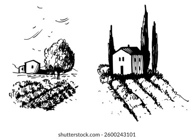 Hand-drawn landscape of Provence. House and  lavender fields. Vector sketch  illustration.