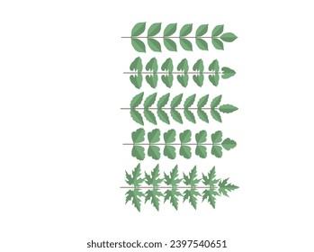Hand-drawn laurel branch. Leaves victory line. Floral branch border. Champion winner branch logo. Vector illustration isolated on white background.