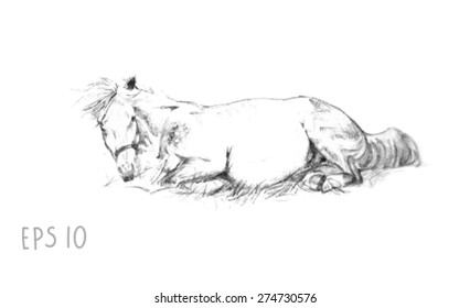 handdrawn of laying horse sketch with pen in vector format. EPS 10